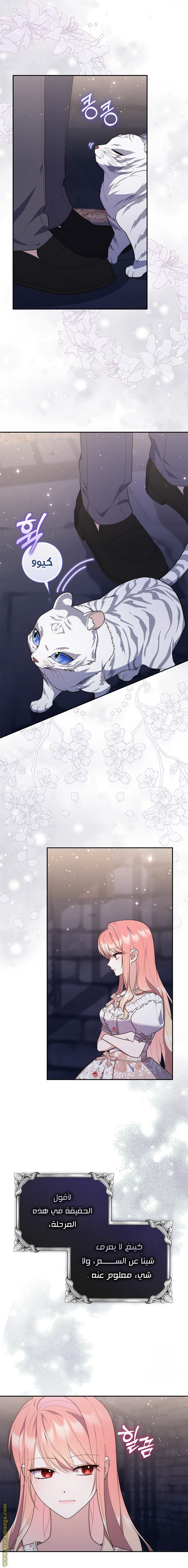 Read A fortune telling princess AR Manga Online