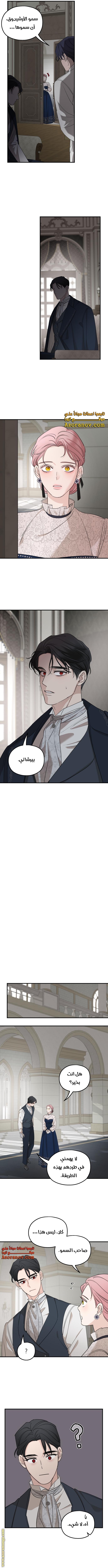 Read My in laws are obsessed with me AR Manga Online