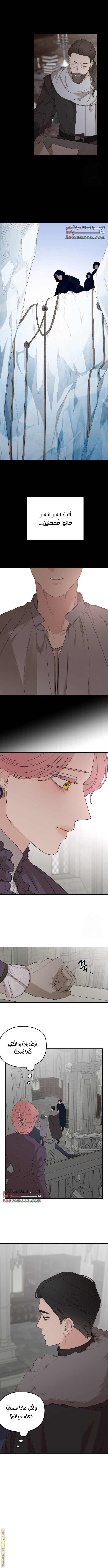 Read My in laws are obsessed with me AR Manga Online