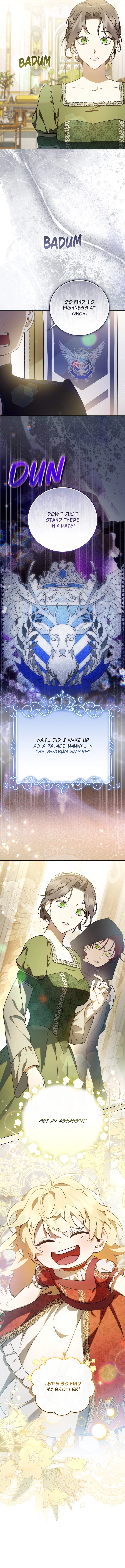 Read Once an Assassin Now a Royal Nanny EN Manga Online