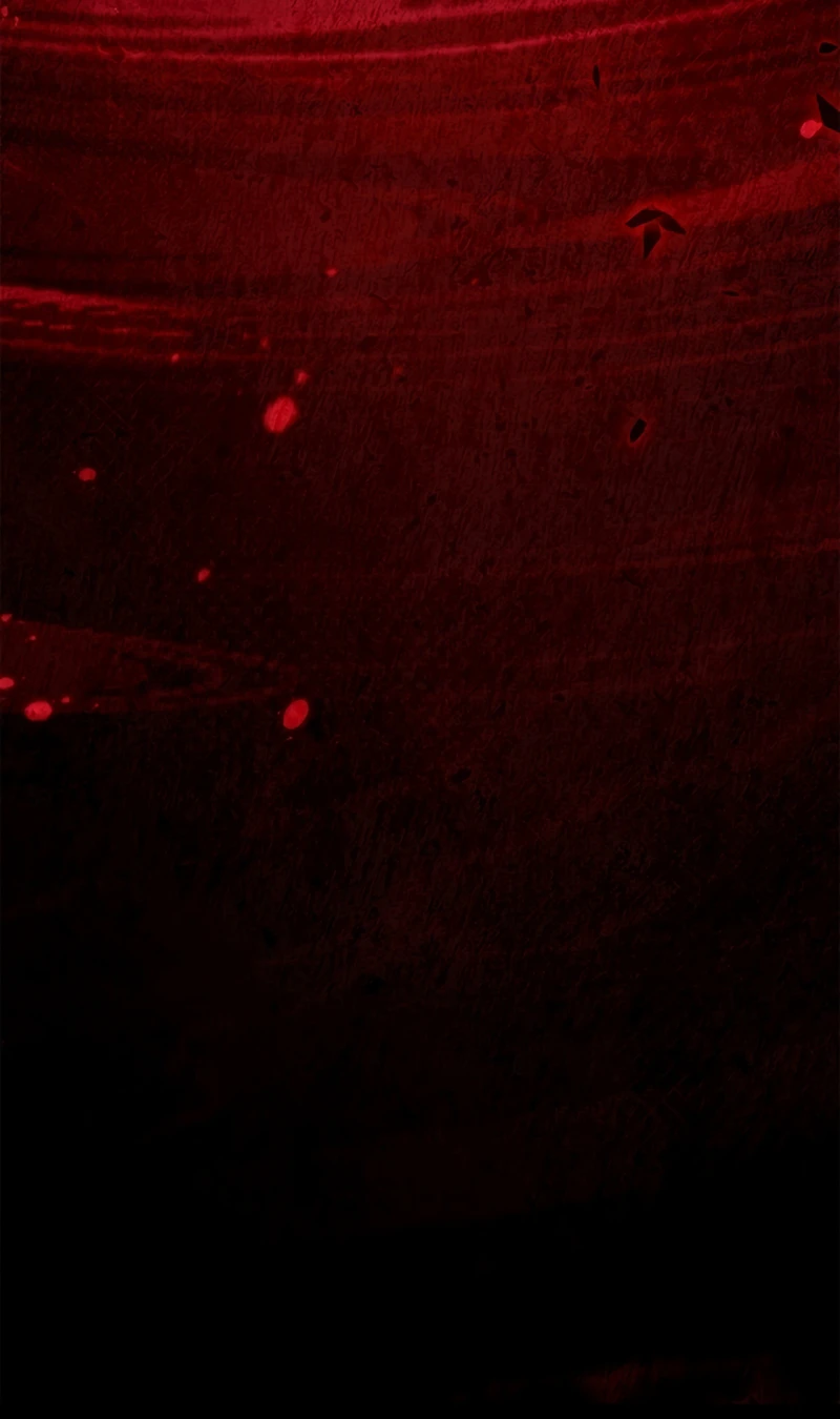 Read Regressor Instruction Manual EN Manga Online