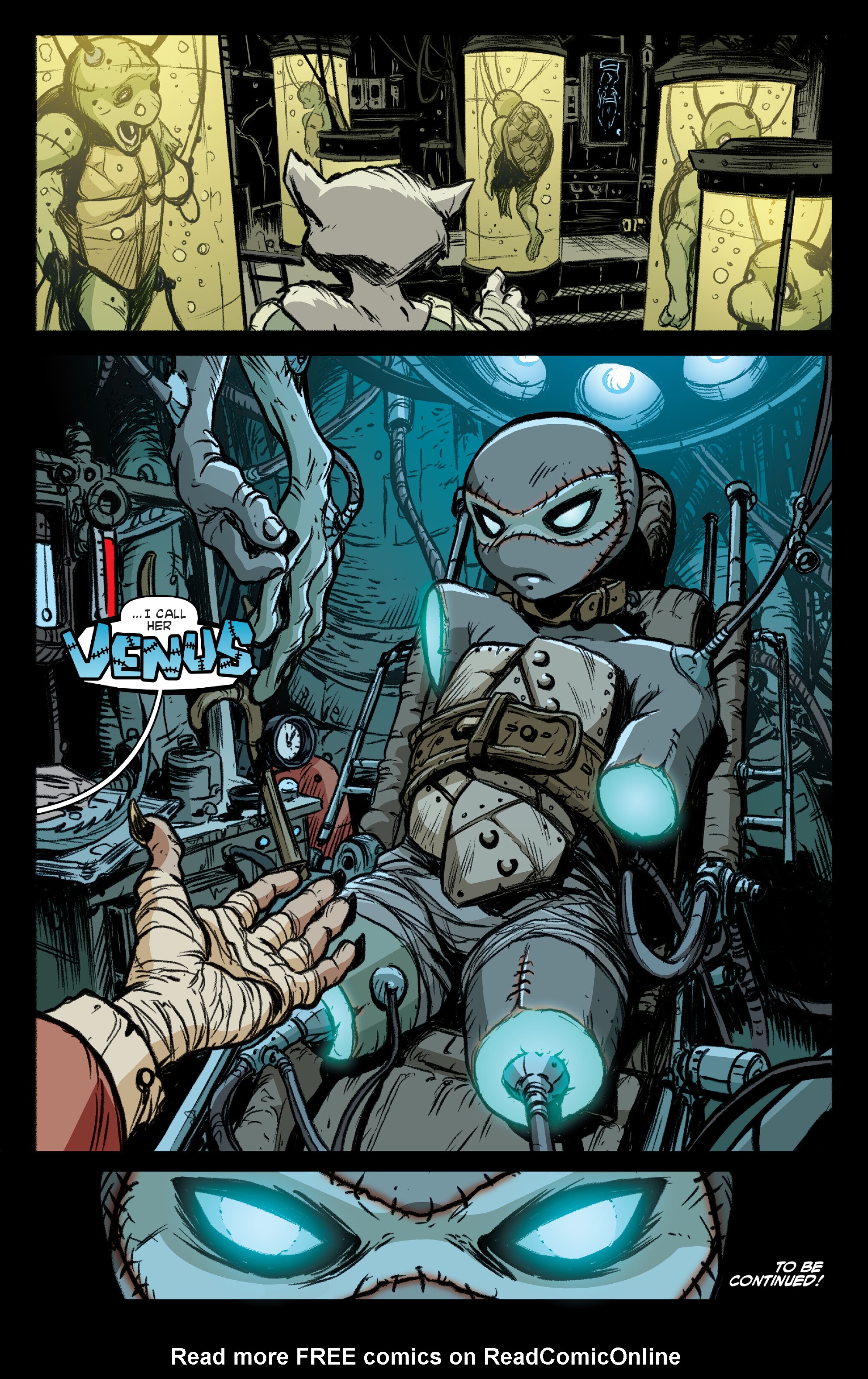 Read Teenage Mutant Ninja Turtles (2011) EN Manga Online