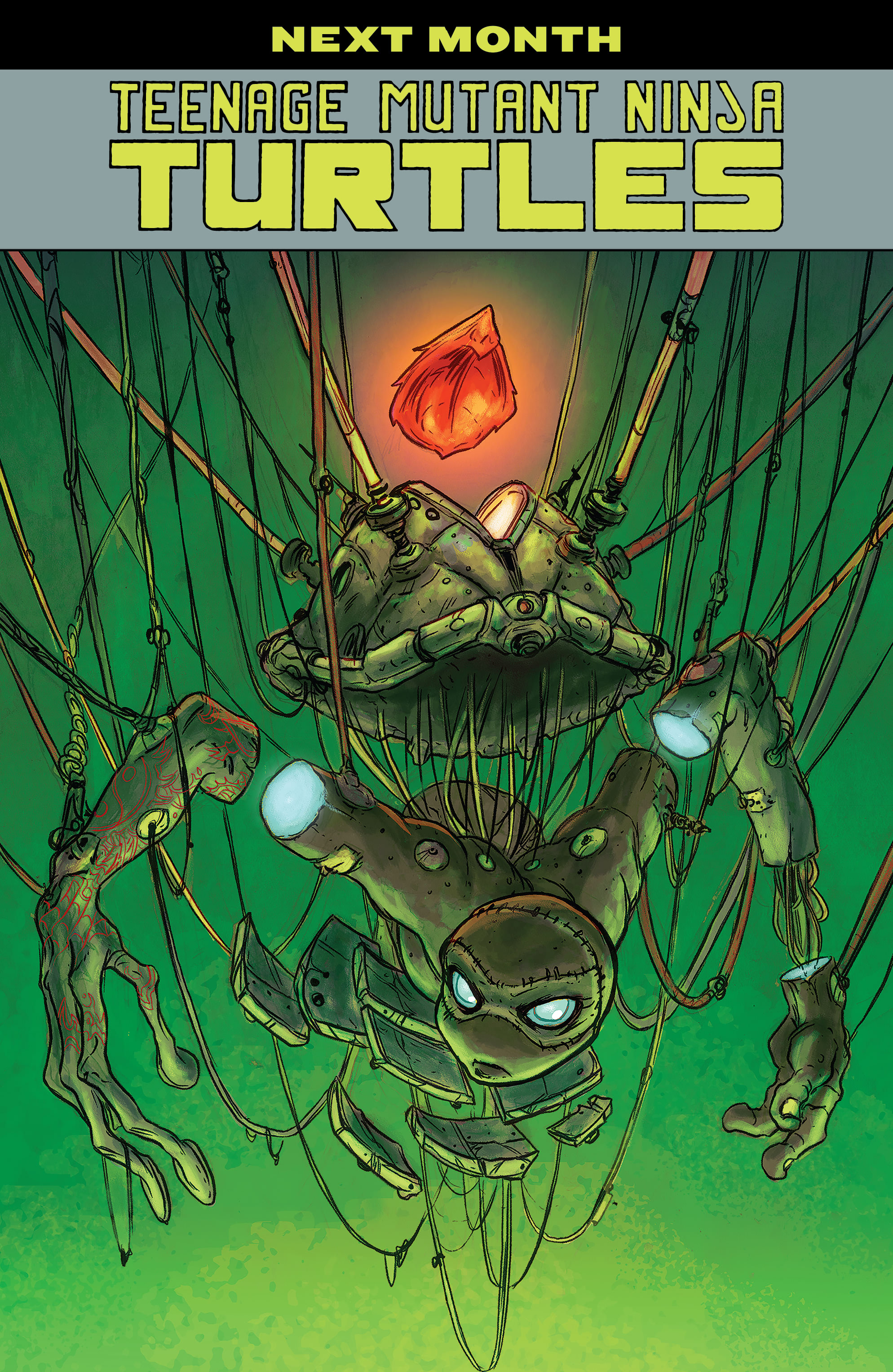Read Teenage Mutant Ninja Turtles (2011) EN Manga Online