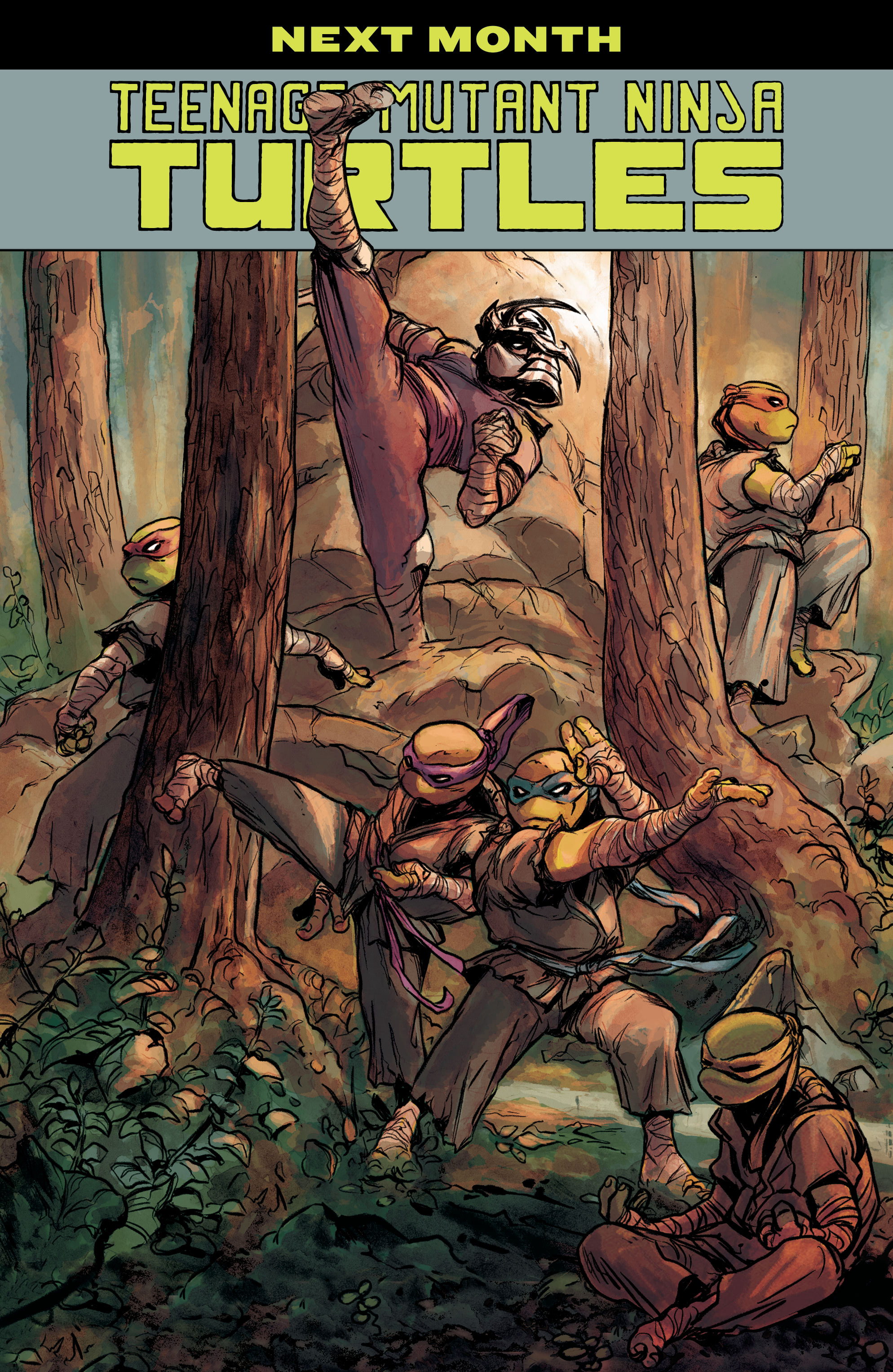Read Teenage Mutant Ninja Turtles (2011) EN Manga Online
