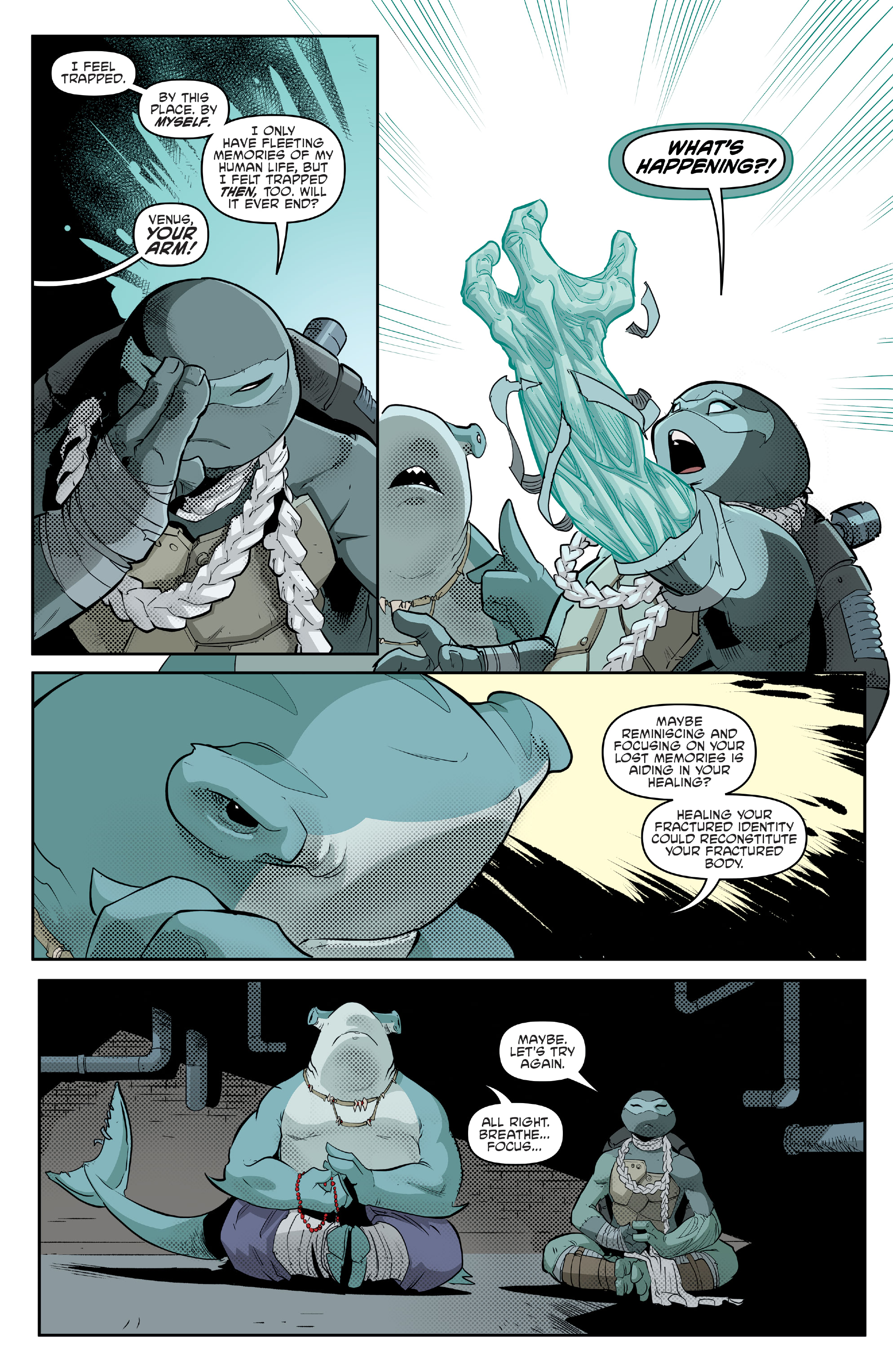 Read Teenage Mutant Ninja Turtles (2011) EN Manga Online