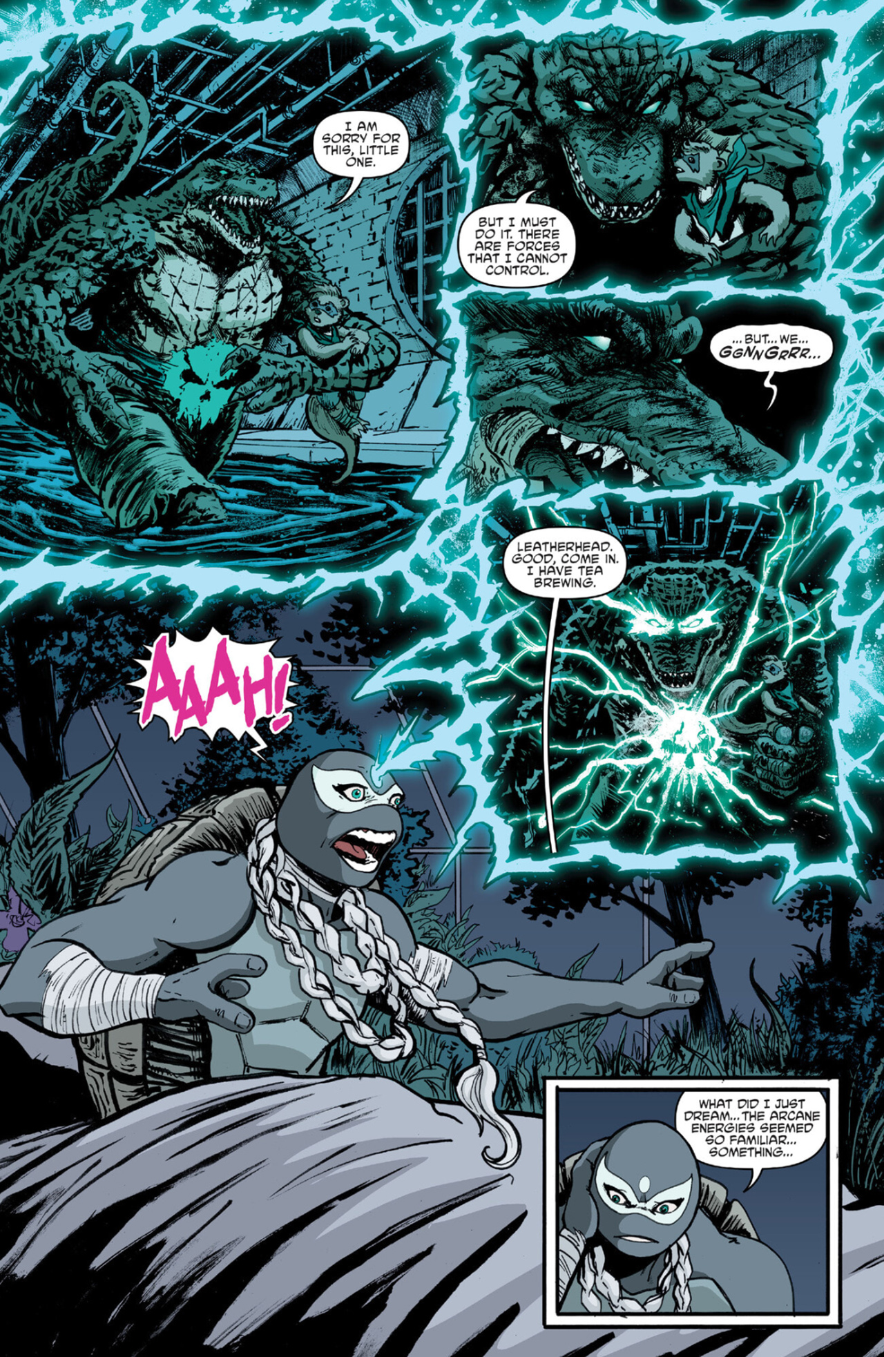 Read Teenage Mutant Ninja Turtles (2011) EN Manga Online