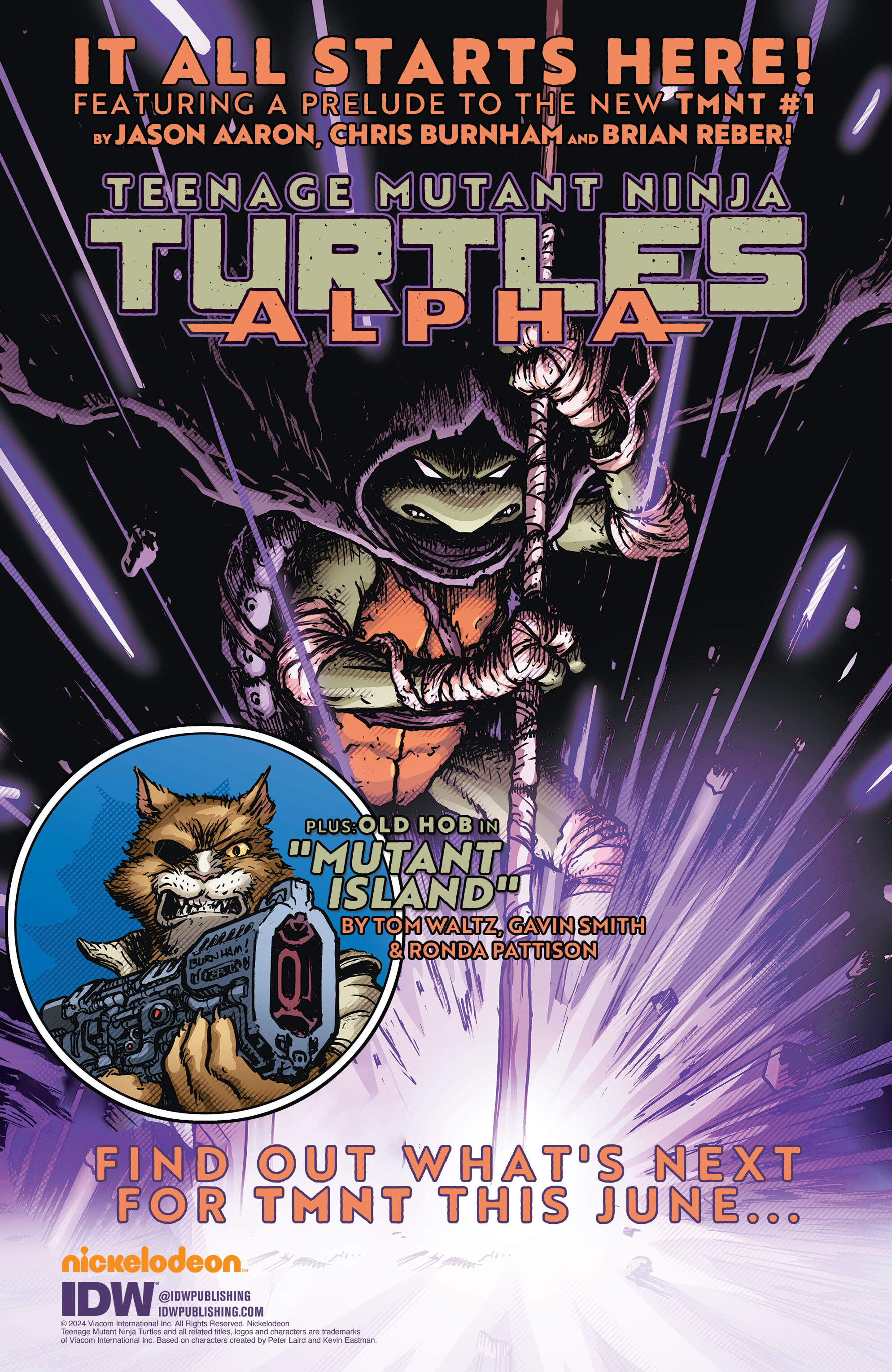Read Teenage Mutant Ninja Turtles (2011) EN Manga Online