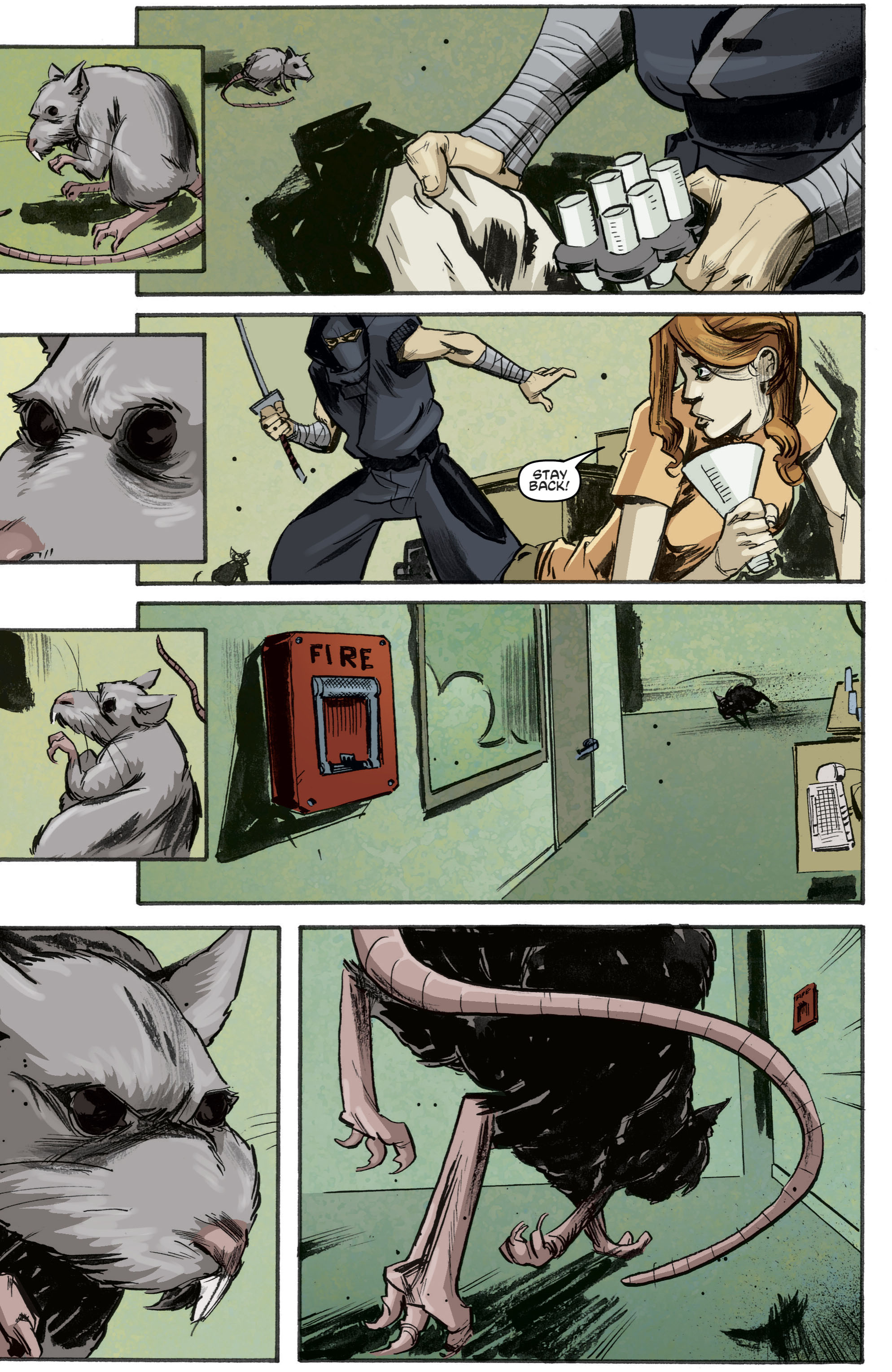 Read Teenage Mutant Ninja Turtles (2011) EN Manga Online