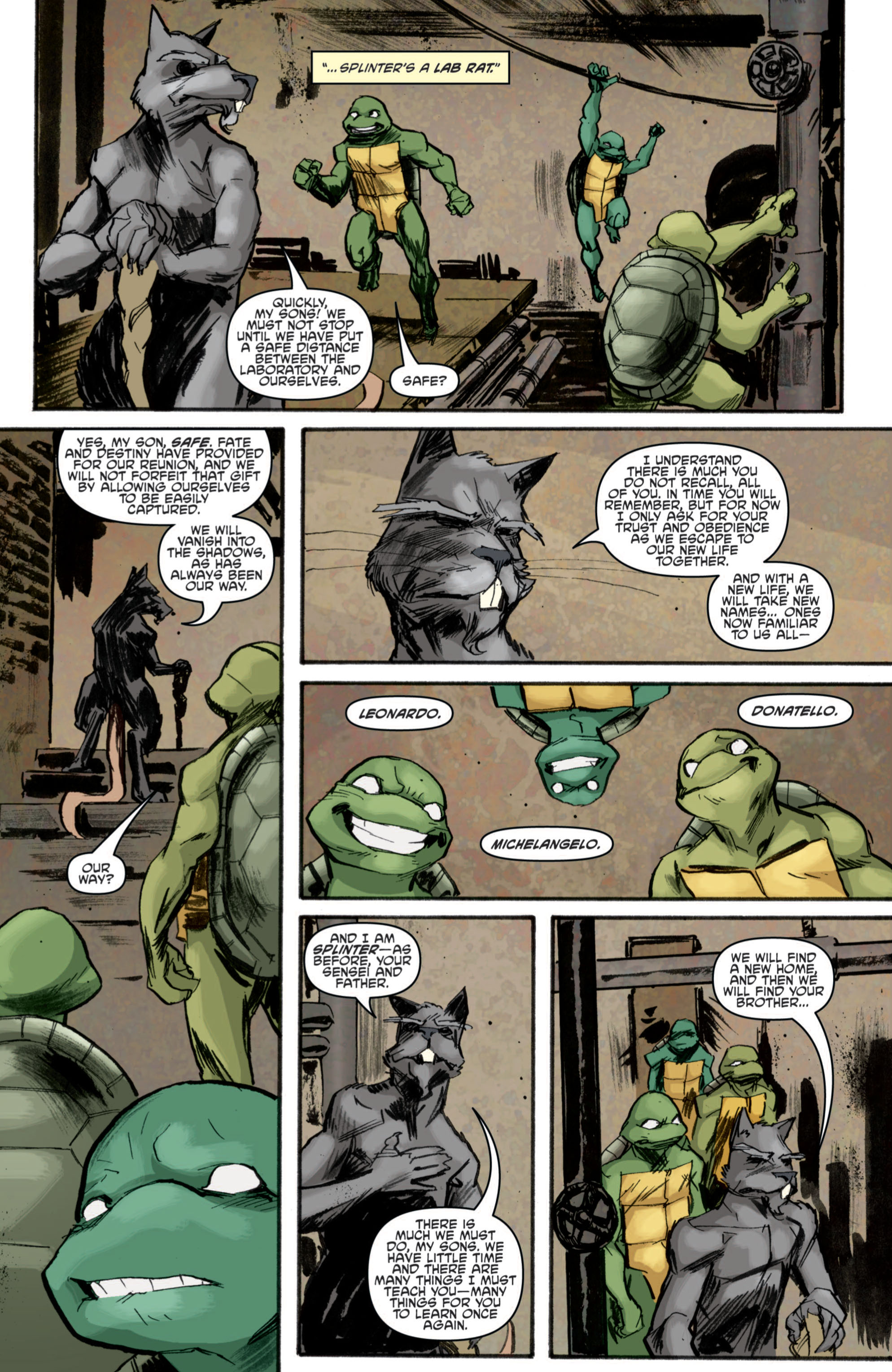 Read Teenage Mutant Ninja Turtles (2011) EN Manga Online