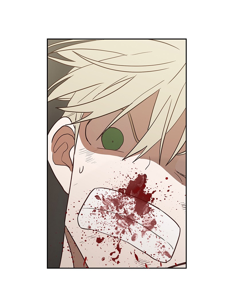 Read The Boxer FR Manga Online