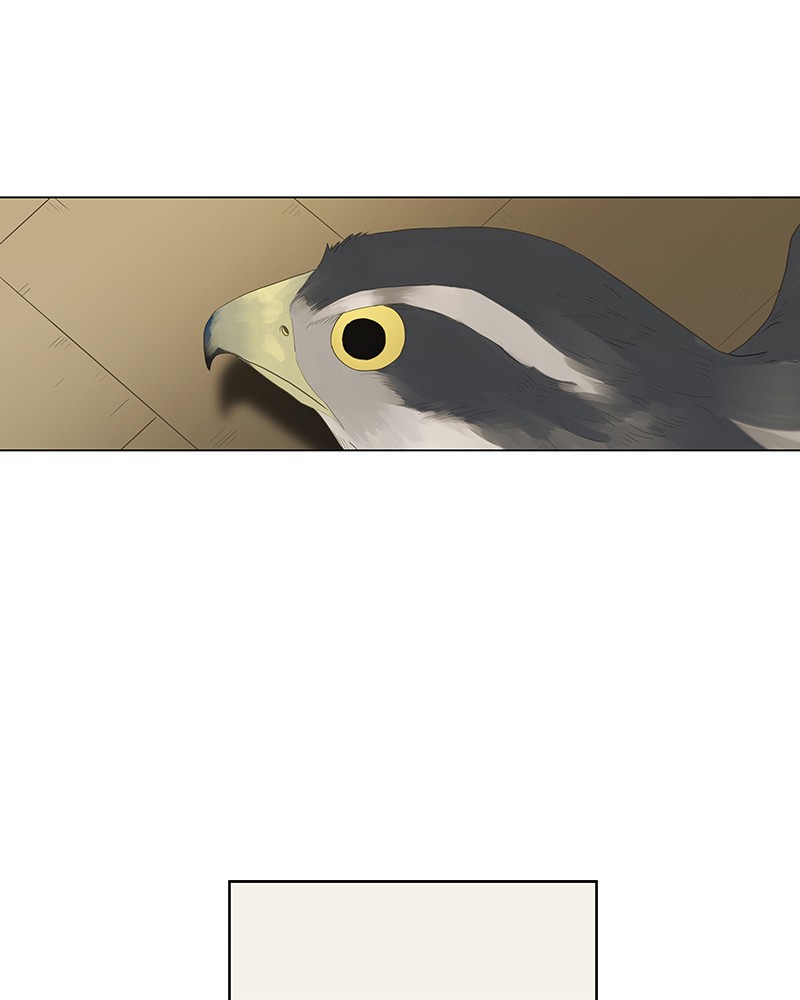 Read The Boxer FR Manga Online