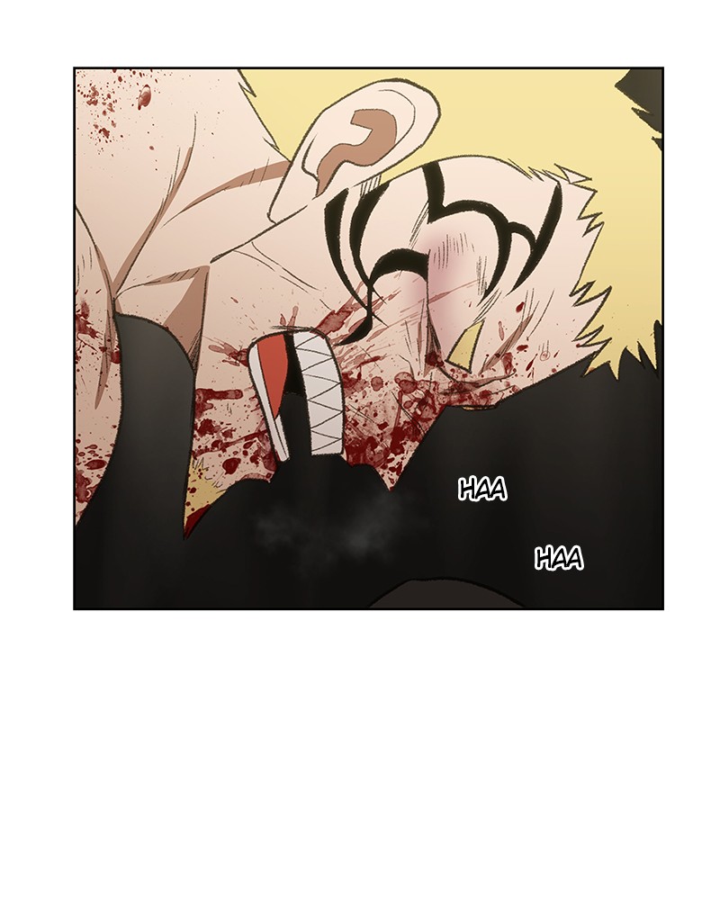 Read The Boxer FR Manga Online