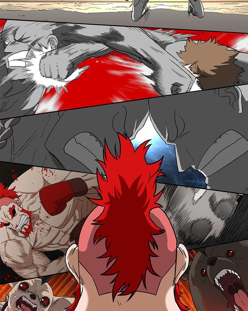 Read The Boxer FR Manga Online