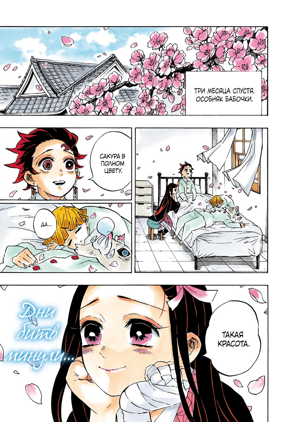 Read Demon Slayer RU Manga Online