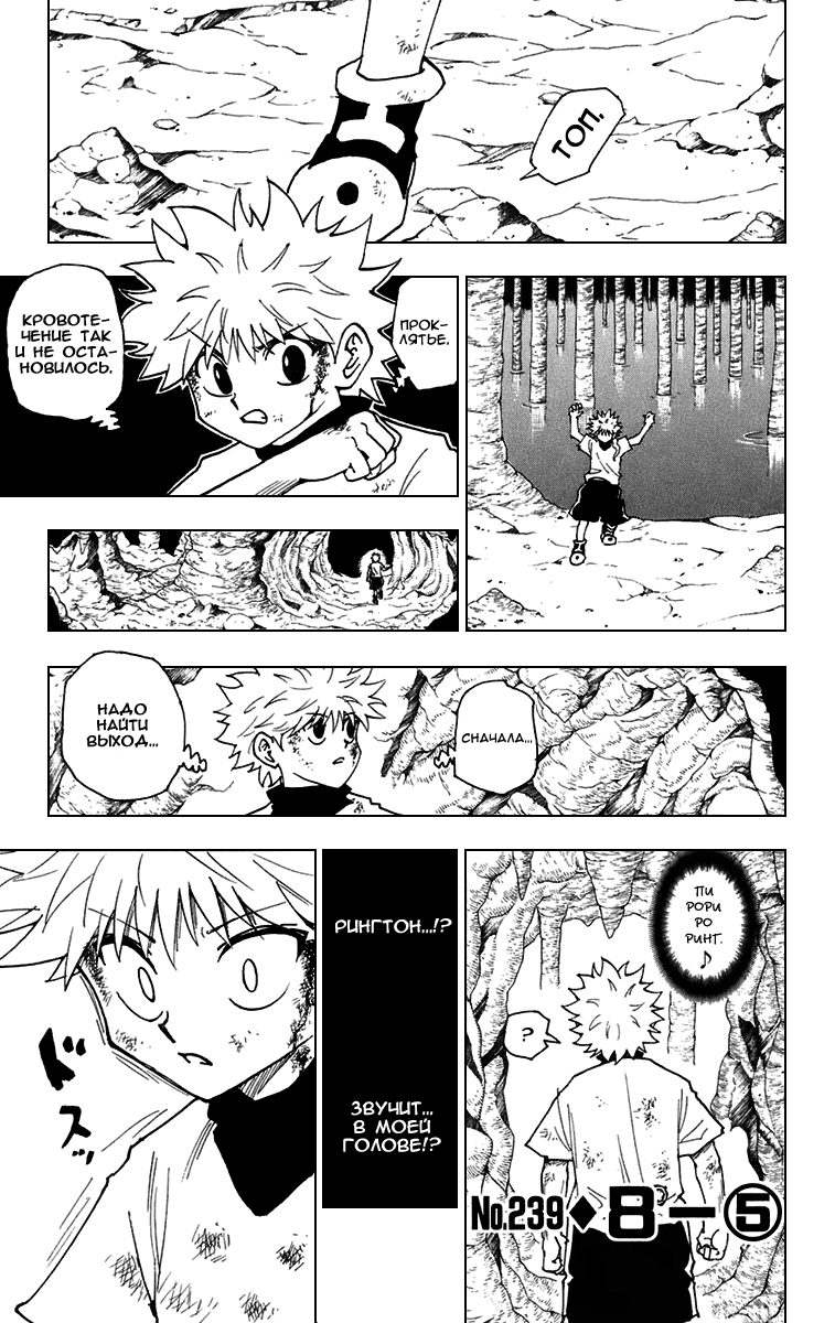Read Hunter x Hunter RU Manga Online
