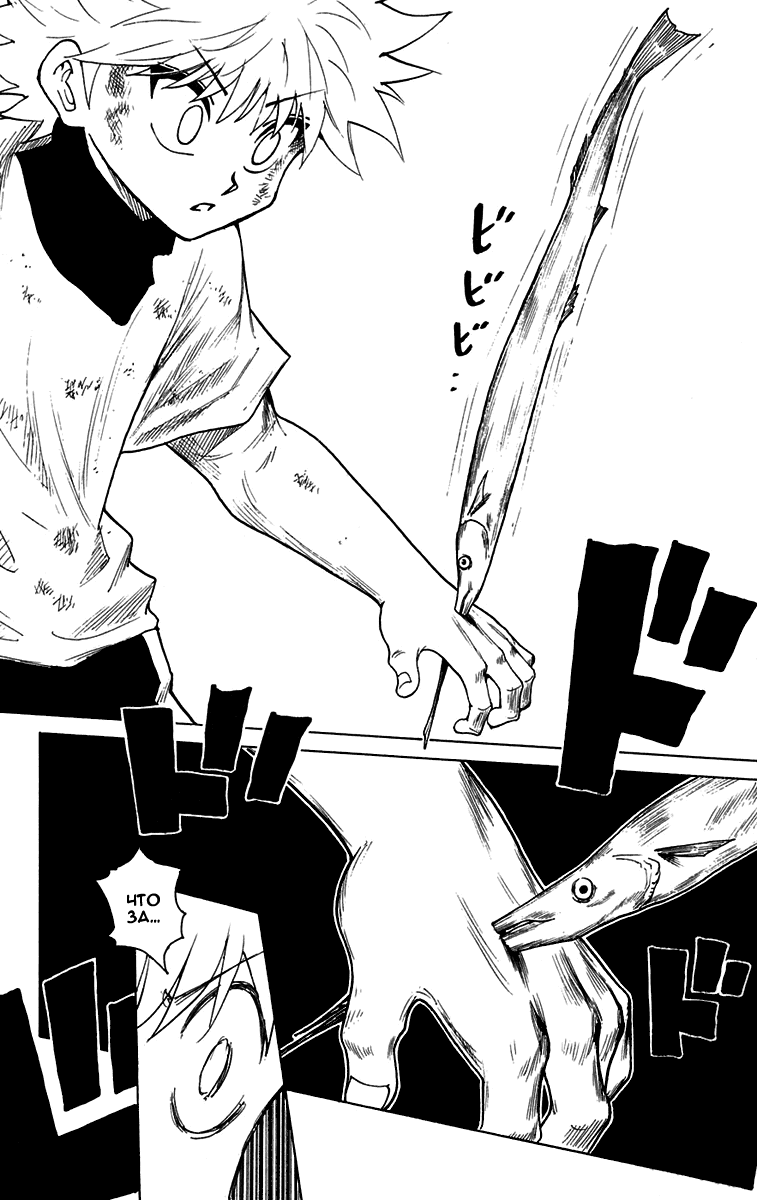 Read Hunter x Hunter RU Manga Online