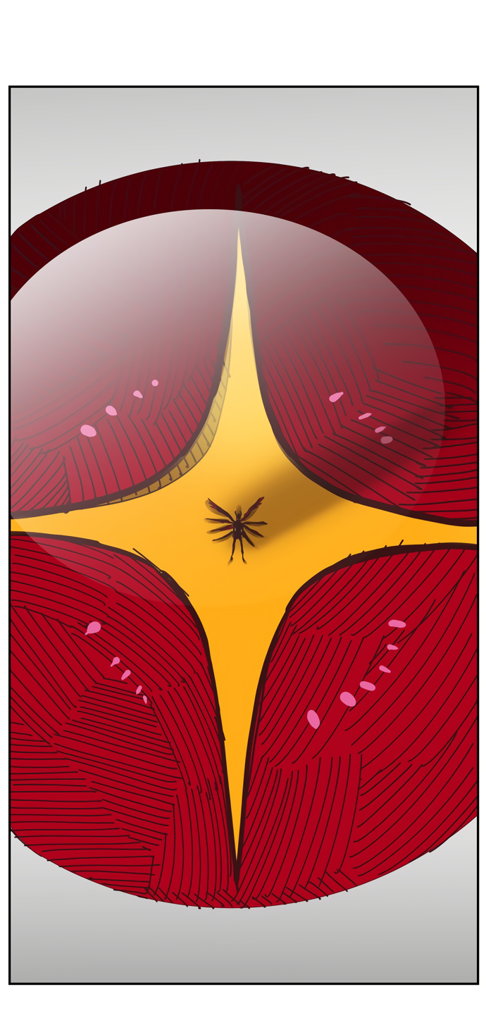 Read The God of High School RU Manga Online