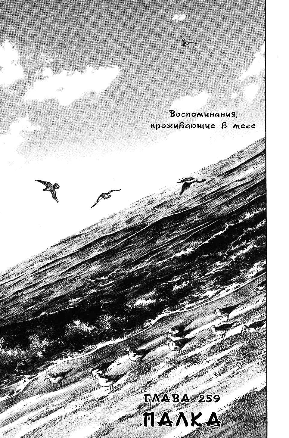 Read Vagabond RU Manga Online