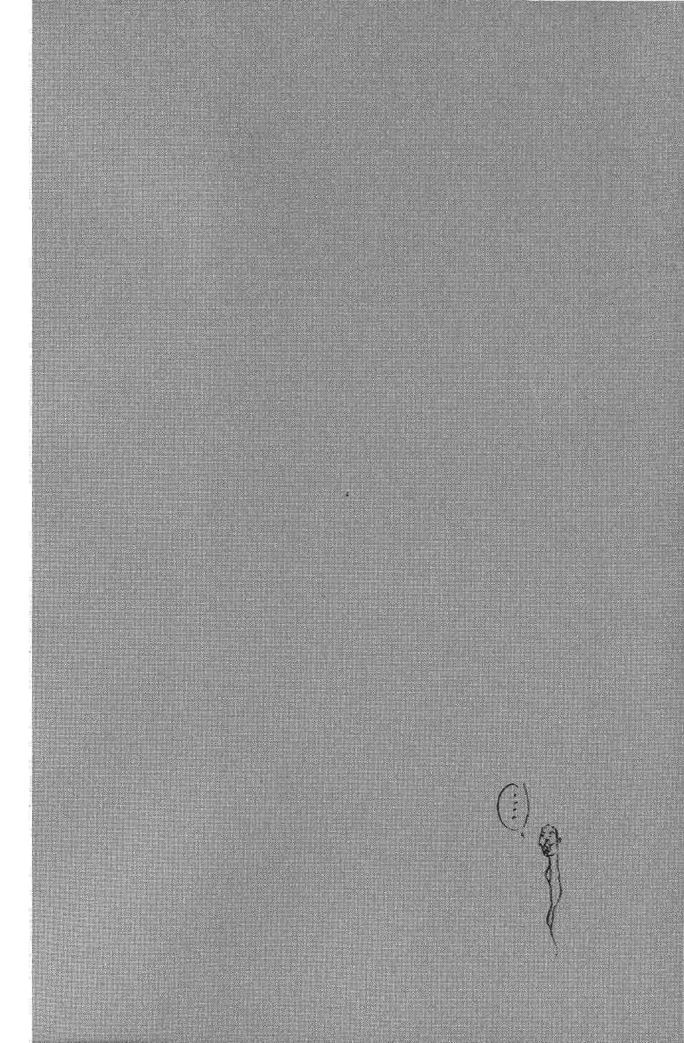 Read Vagabond RU Manga Online